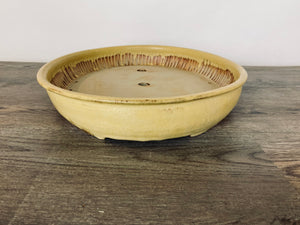 17” Yellow Matte Bonsai Pot