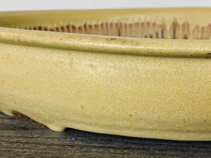 17” Yellow Matte Bonsai Pot