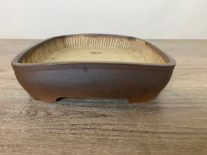 10.25” Soft Rectangle Bonsai Pot with Tree Carving