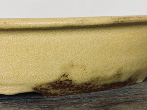 17” Yellow Matte Bonsai Pot