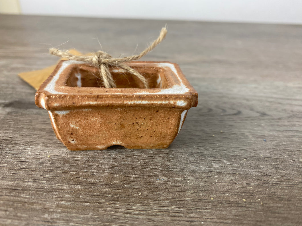 Small planter kusamono, shitakusa or bonsai pot.