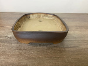 10.25” Soft Rectangle Bonsai Pot with Tree Carving